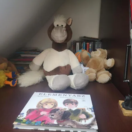 Lena 16 Twoje Poddasze * Racibórz