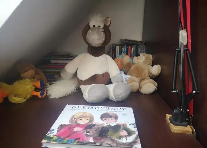 Lena 16 Twoje Poddasze * Racibórz